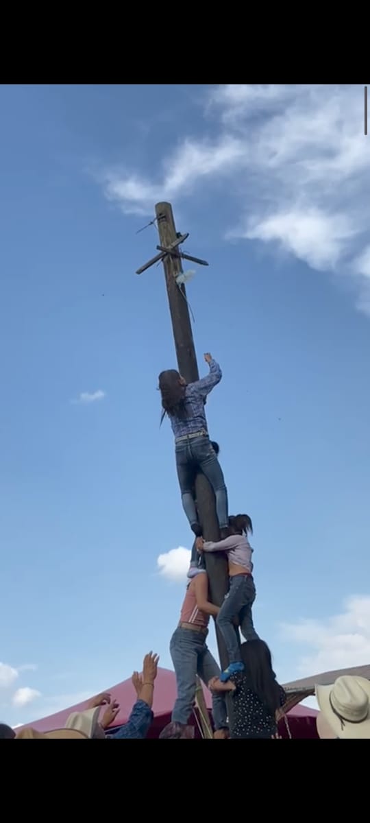 Palo ensebado